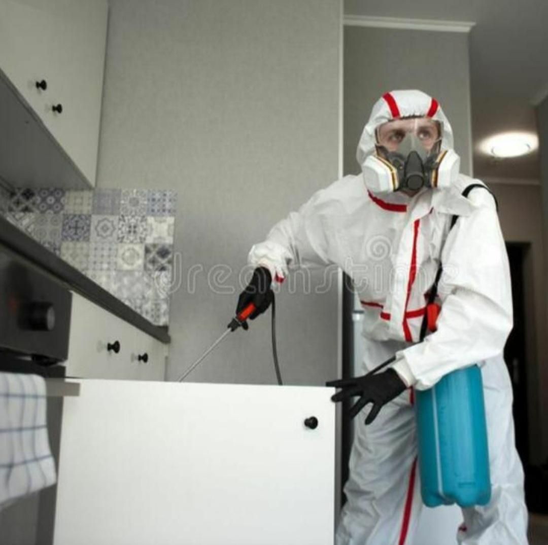 سمپاشی(موریانه زدایی)سم پاشی/ساس سوسک عقرب مار|خدمات نظافت|اهواز, کیانشهر|دیوار