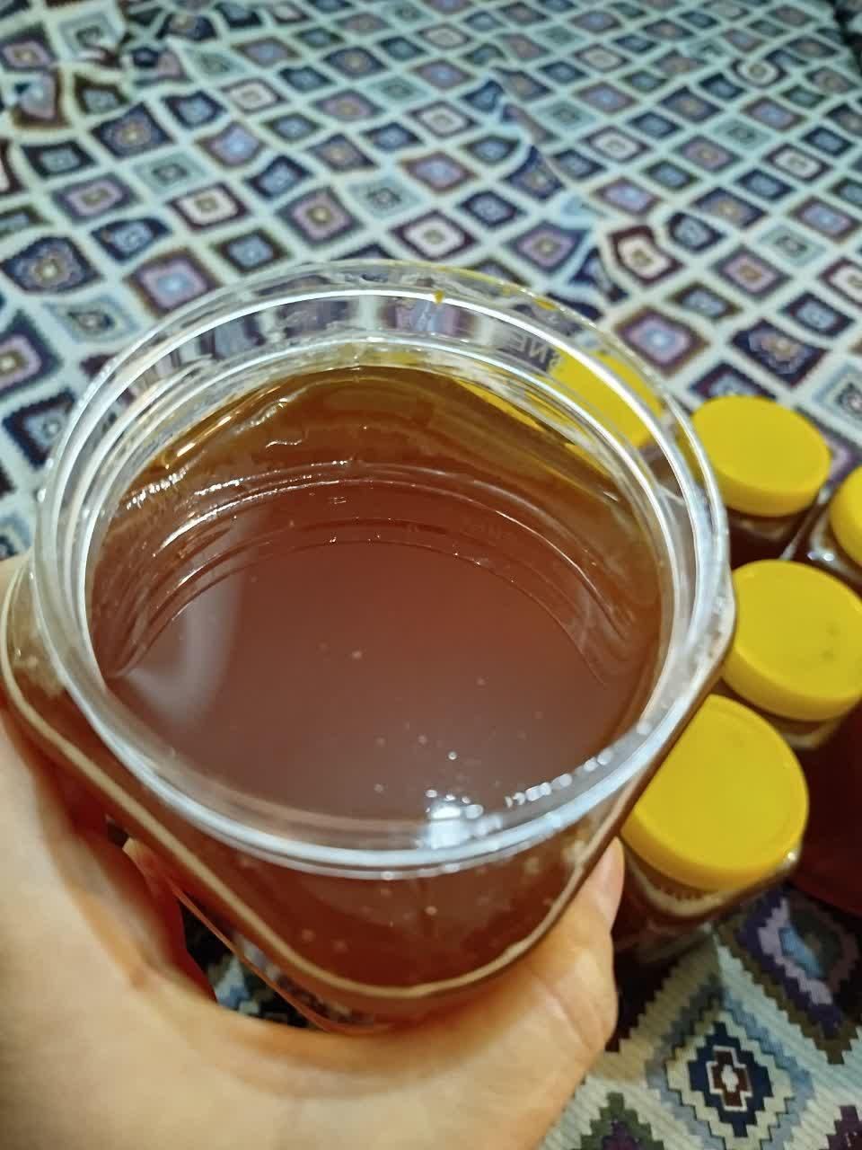 عسل گون درجه یک کوهای گرین لرستان|خوردنی و آشامیدنی|اصفهان, کوی امام|دیوار