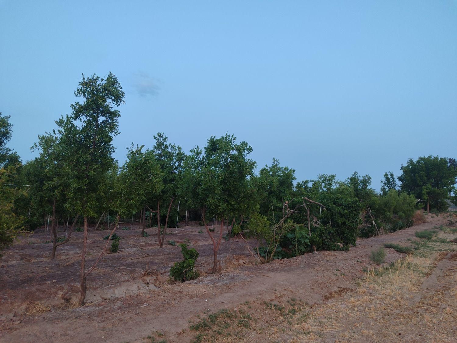 تصویر 7
