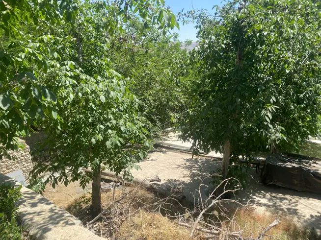 ۱۰۰۰ متر باغ * لاکچری * سند تکبرگ * زیر قیمت|فروش زمین و ملک کلنگی|تهران, چیتگر شمالی|دیوار