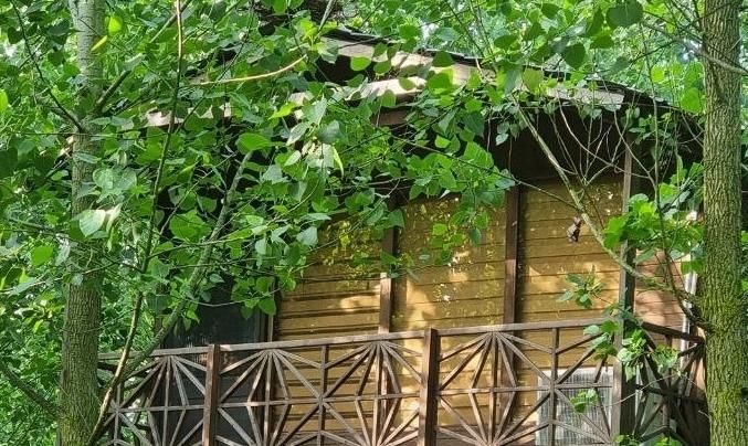 فرار به دنیای چوب و طبیعت ،یک ویلای متفاوت|فروش خانه و ویلا|اصفهان, سیچان|دیوار