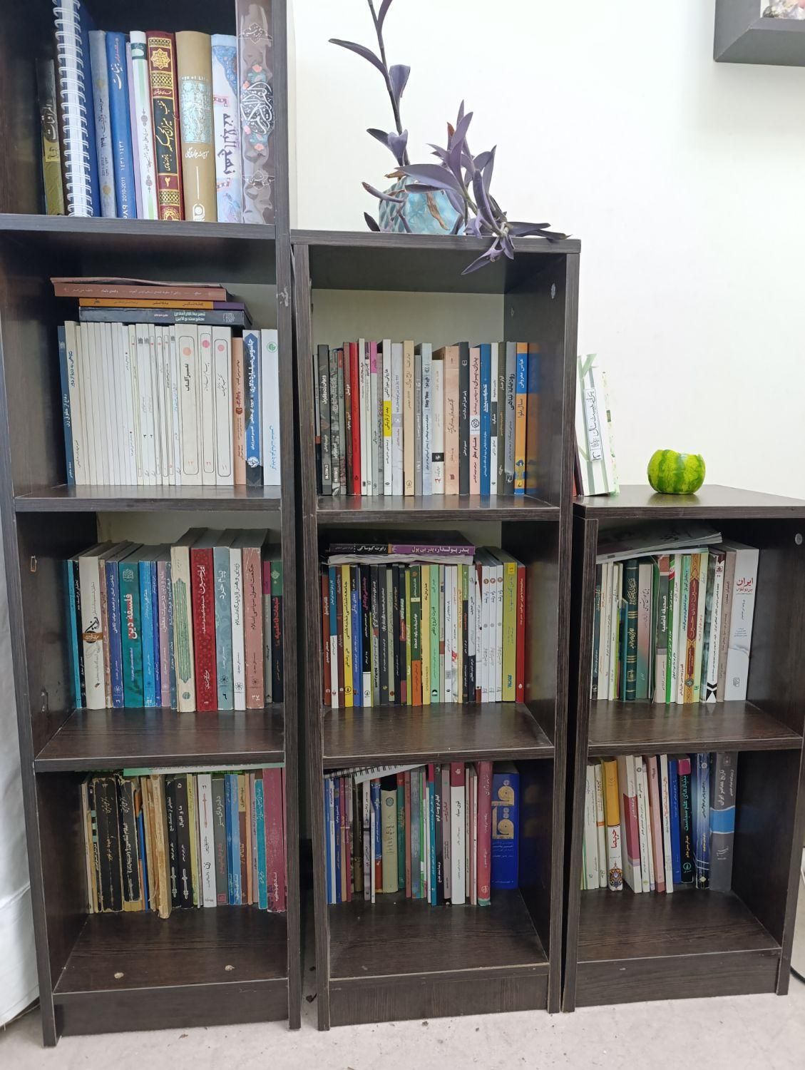 کتابخانه و دکور|کتابخانه، شلف، قفسه‌های دیواری|مشهد, گوهرشاد|دیوار