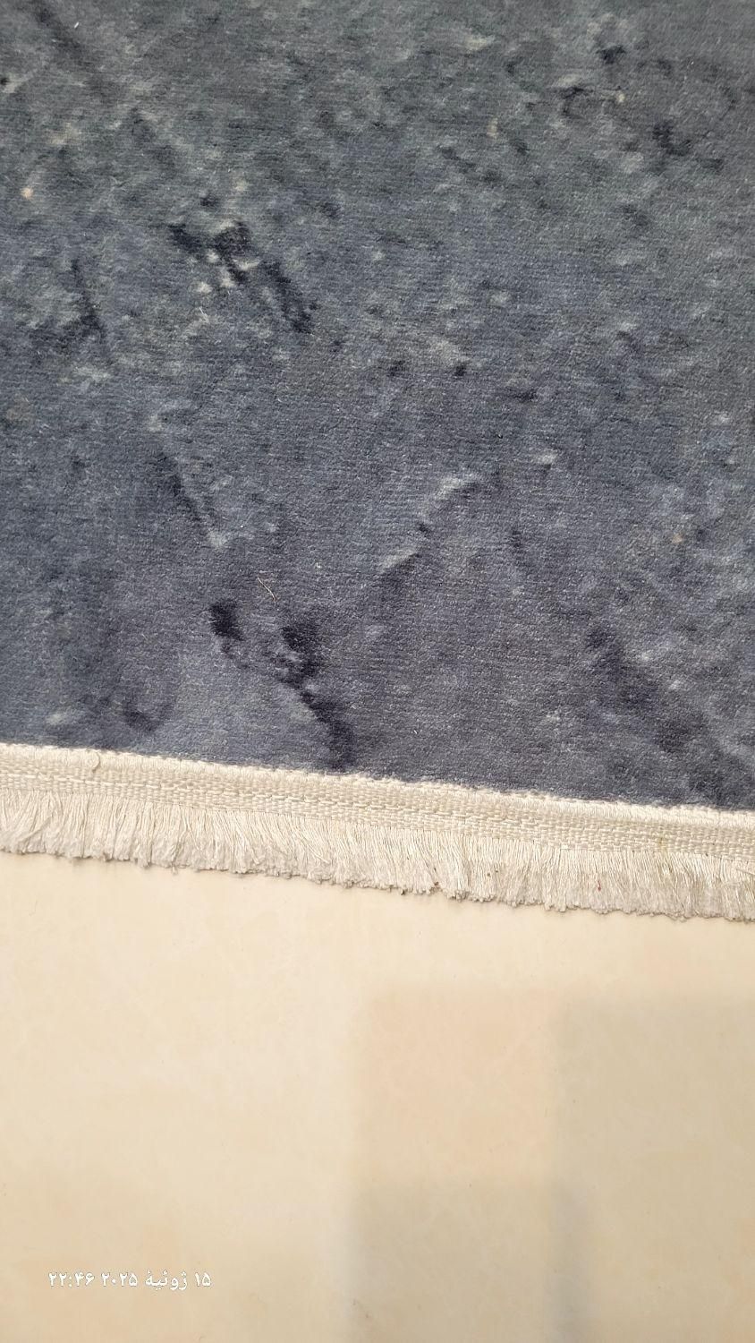 فرش،۹ متری|فرش|بروجرد, |دیوار