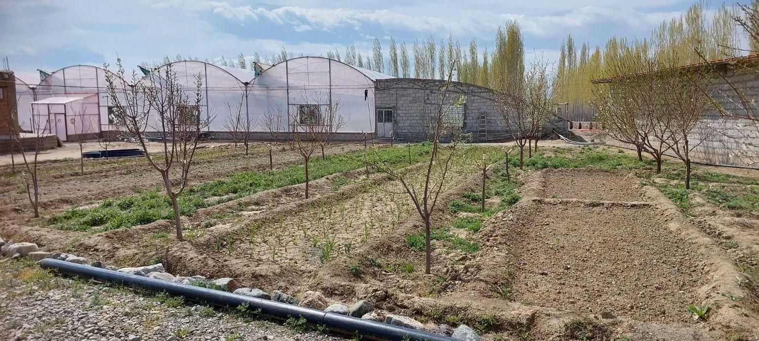 فروش گلخانه هیدروپونیک*فروش بعلت تغییر مکان*|فروش دفتر صنعتی، کشاورزی، تجاری|سلماس, |دیوار