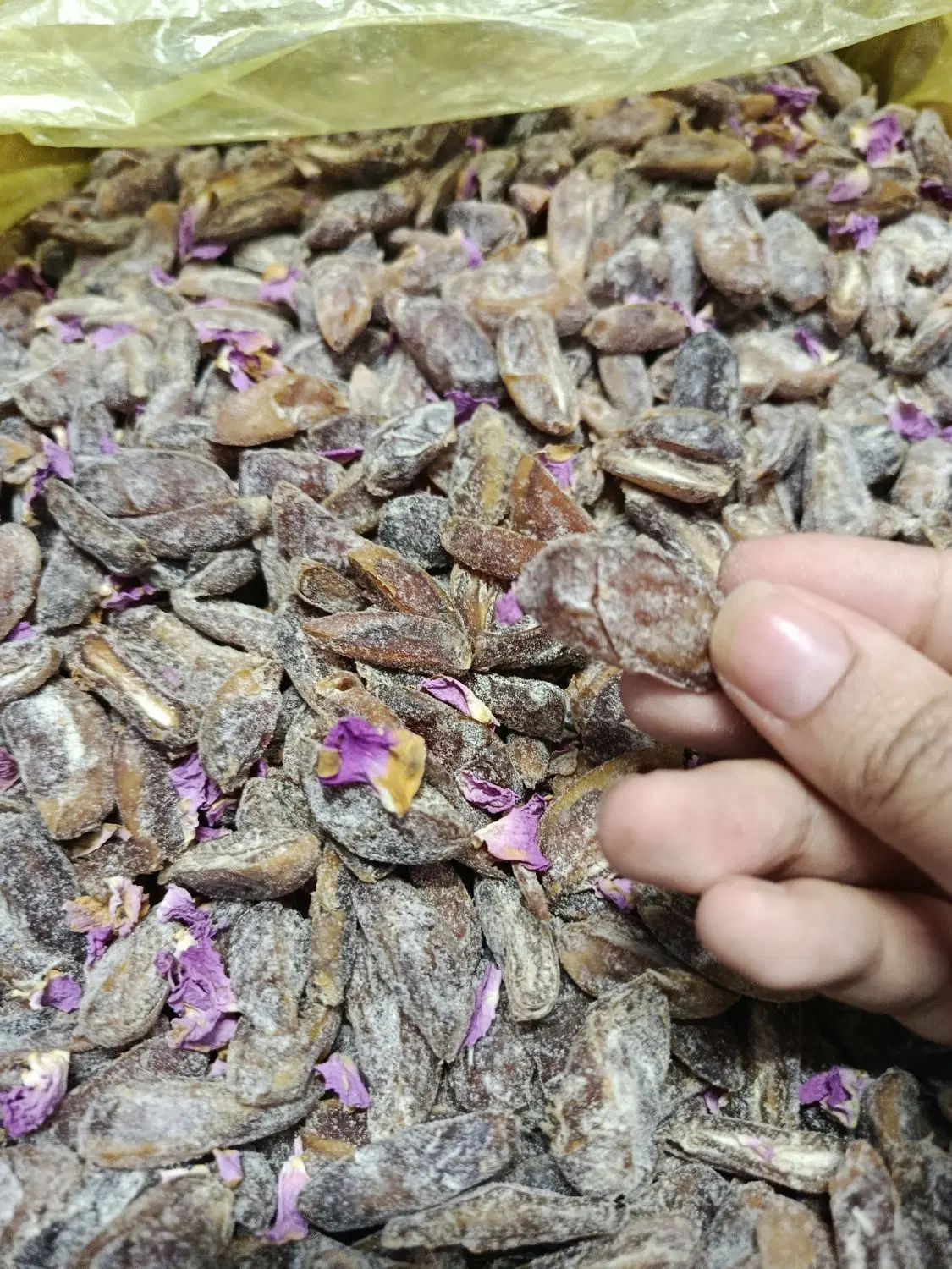 رطب عسلی  امسالی و تازه  و چیپس خرما|خوردنی و آشامیدنی|مشهد, ثامن|دیوار
