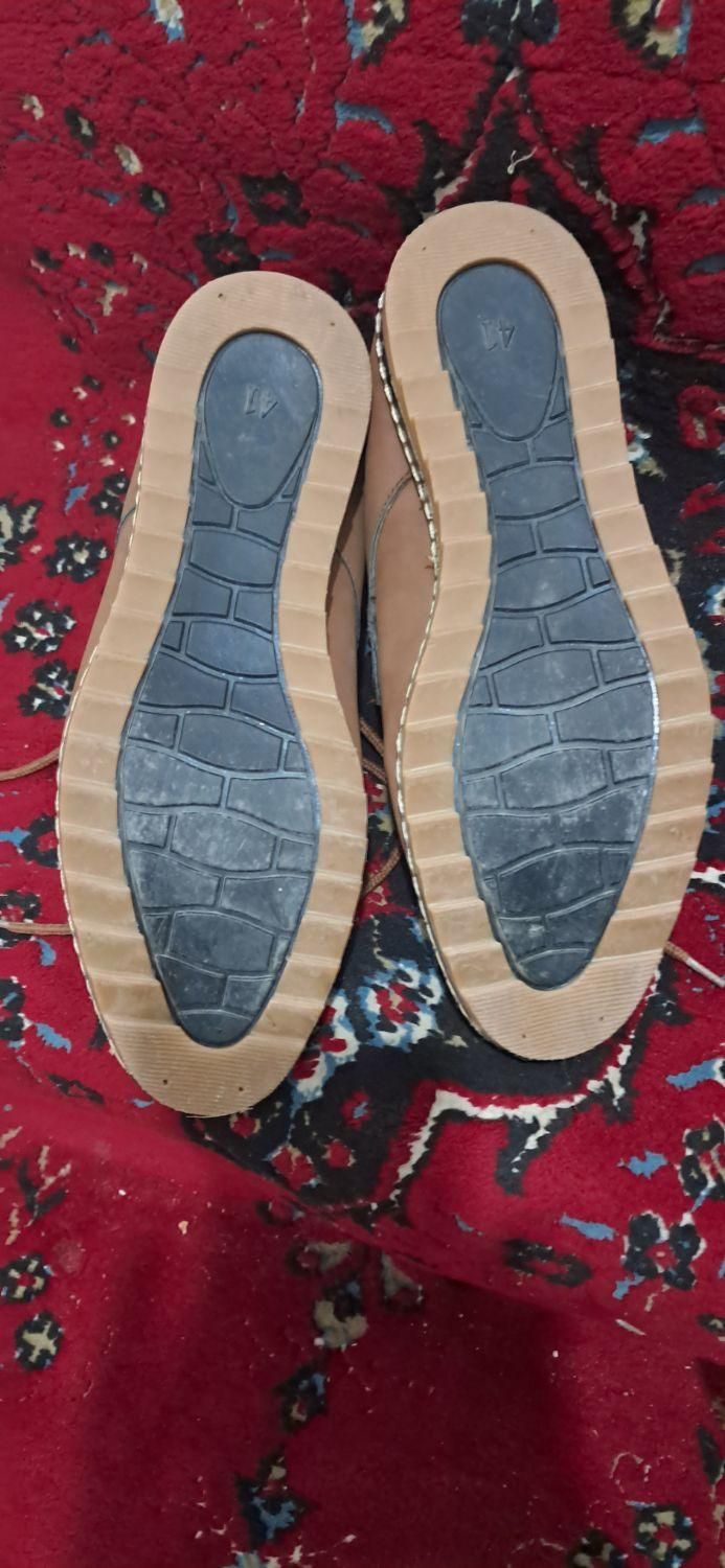 کفش سایز ۴۱|کیف، کفش، کمربند|قم, تعویض پلاک|دیوار