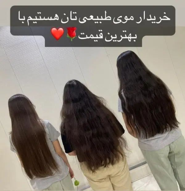خریدار اصلی موهای بانوان۵۰سانت به بالا|خدمات آرایشگری و زیبایی|میانه, |دیوار
