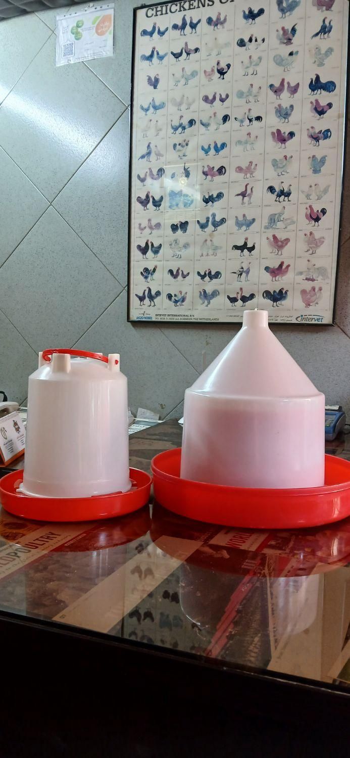 آبخوری ودانخوری مرغ وجوجه|لوازم جانبی حیوانات|تهران, توحید|دیوار