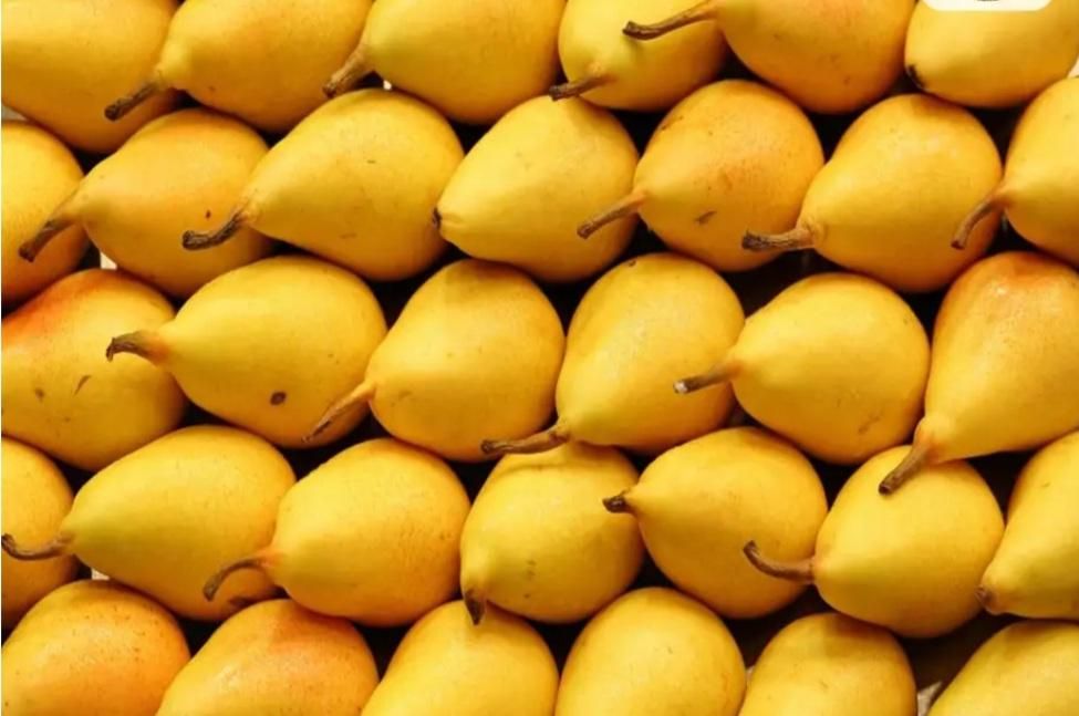 کاگر ماهر میوه فروش|استخدام بازاریابی و فروش|قزوین, |دیوار
