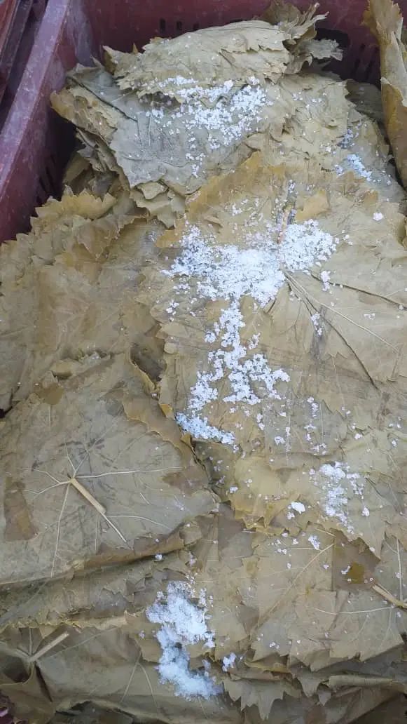 برگ مو شور عمده خرده|خوردنی و آشامیدنی|تهران, شوش|دیوار