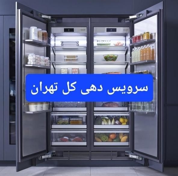 تعمیرات و نصب تخصصی یخچال های خانگی سراسر تهران|خدمات پیشه و مهارت|تهران, سهروردی|دیوار