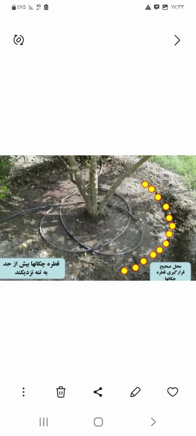 ابیاری قطره ای پدیده سبز|خدمات باغبانی و درختکاری|اصفهان, باغ نگاره|دیوار