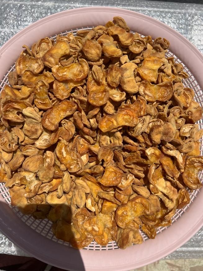 پر زردآلو آفتابی خانگی|خوردنی و آشامیدنی|اصفهان, عباس‌آباد|دیوار