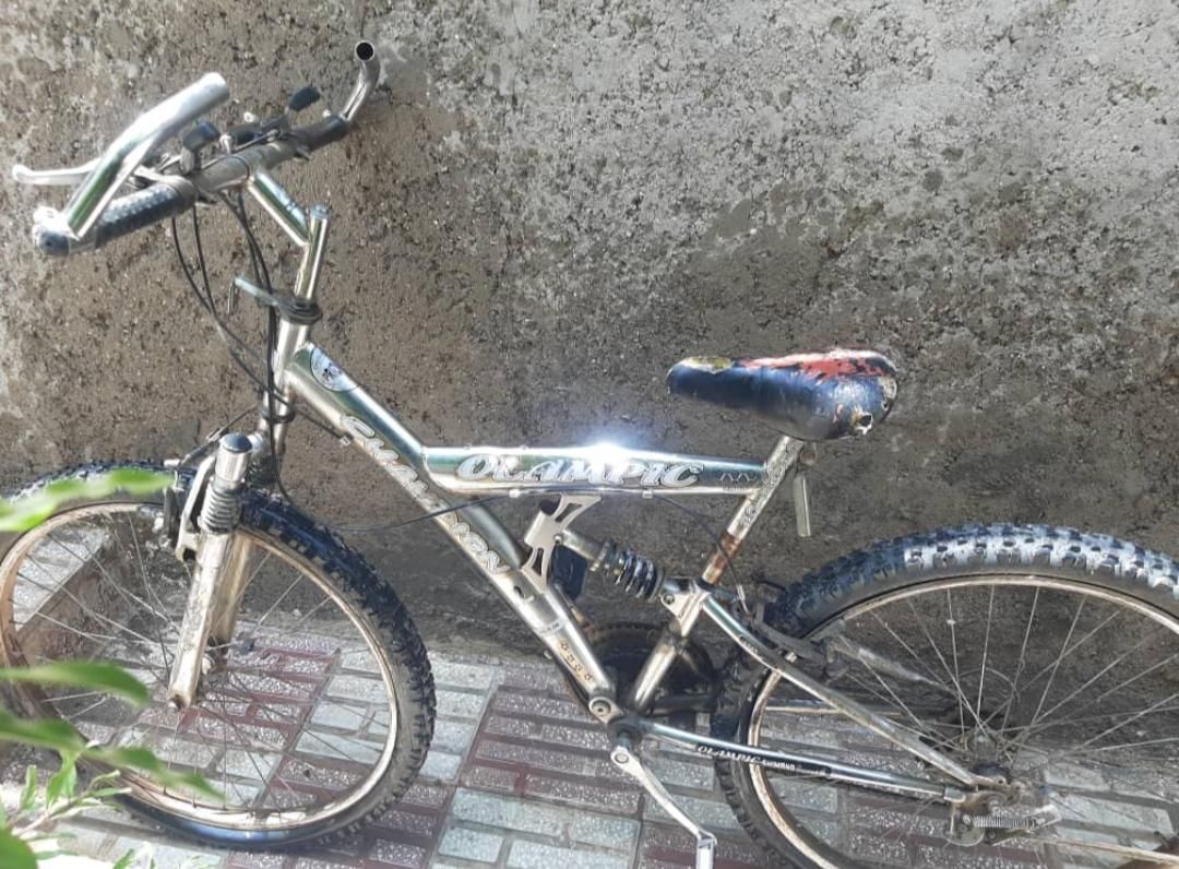 دوچرخه|دوچرخه، اسکیت، اسکوتر|دلیجان, |دیوار