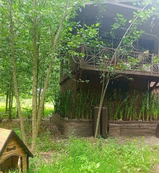 فروش ویلا سوئیسی/ باچشم اندازابدی|فروش خانه و ویلا|لواسان, |دیوار