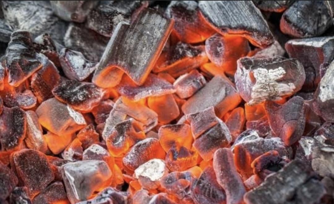 زغال کبابی درجه یک بدون چوب ساختمانی|عمدهفروشی|گرگان, |دیوار