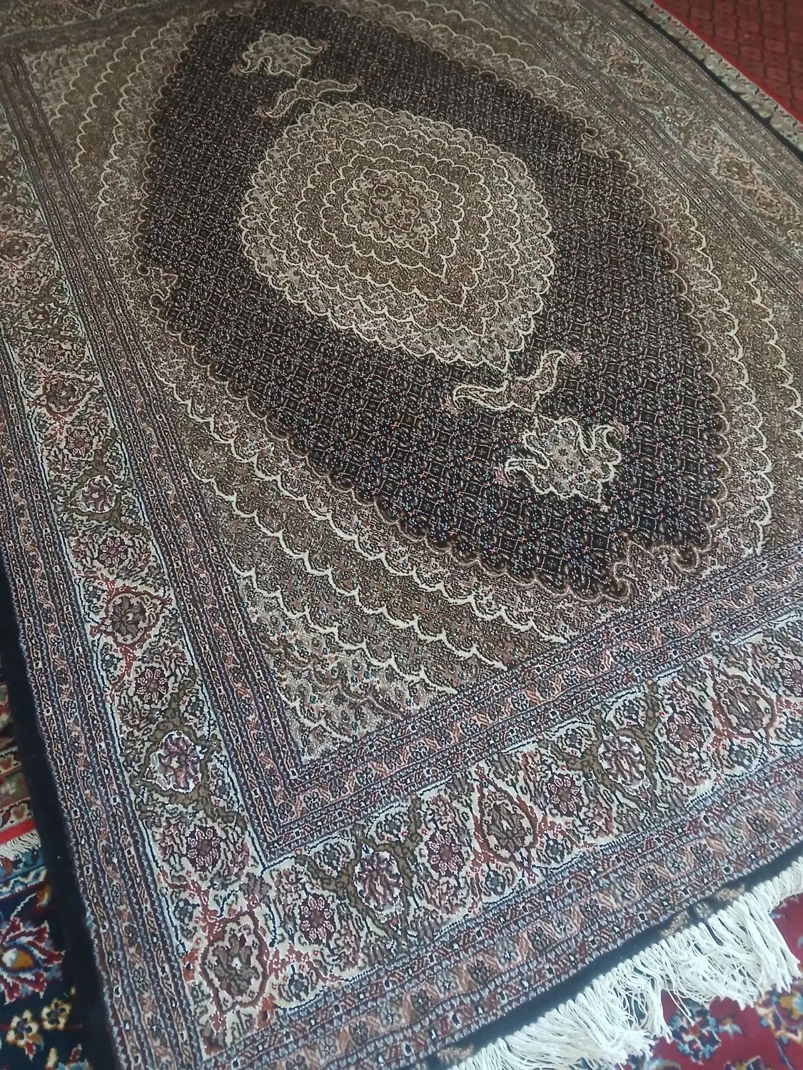 زمینه کرم قهوه ای و زمینه سرمه ای چهل رج ماهی|فرش|خوی, |دیوار