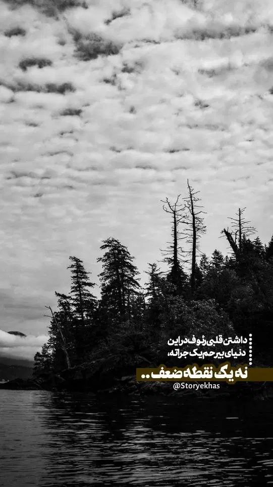 زمین ملکی موسی صدر ۲۲ .دور دیوار ۲۰۰متر خالص|فروش زمین و ملک کلنگی|کاشمر, |دیوار