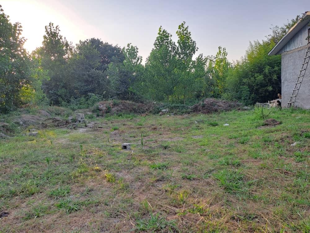 زمین 300 متری لاهیجان سند تک برگ پروانه ویلا|فروش زمین و ملک کلنگی|لاهیجان, آهندان|دیوار