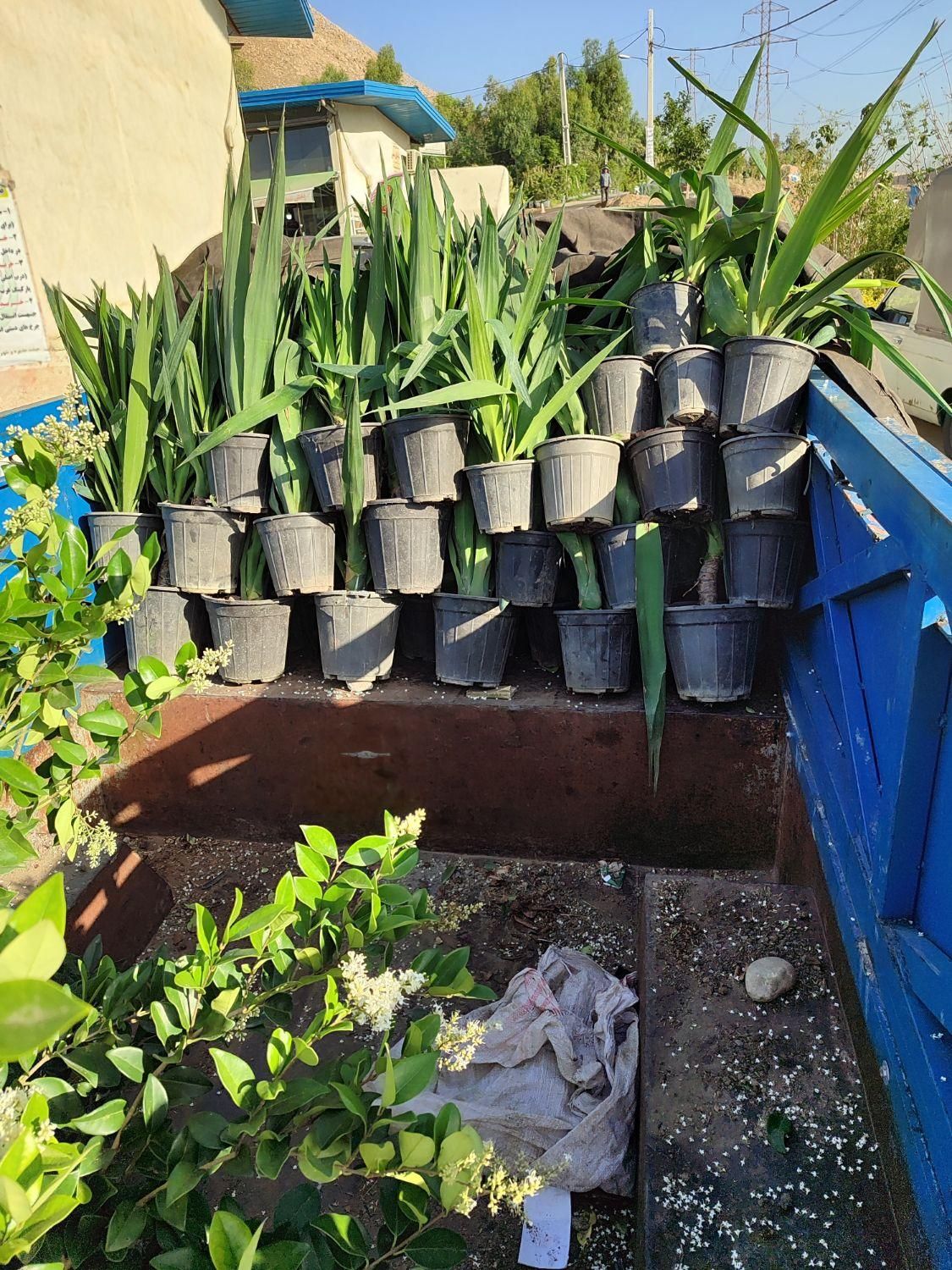 حمل بار نیسان و ایسوزو|خدمات حمل و نقل|لنگرود, |دیوار