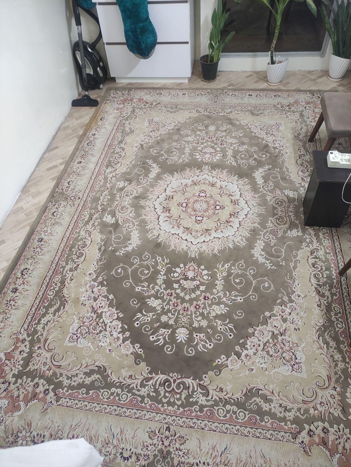 دوعدفرش 9متری گل برجسته نگین مشهد|فرش|پاکدشت, پاکدشت (مامازند)|دیوار