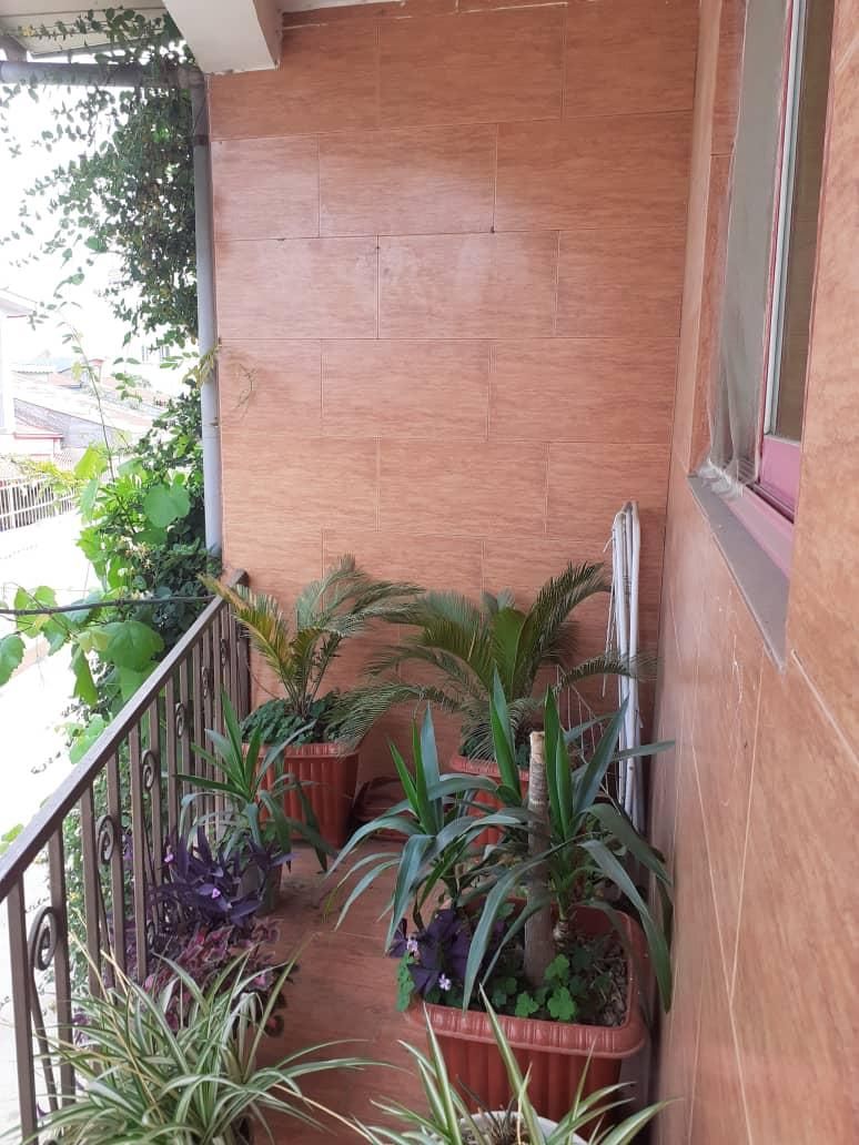 فروش خانه|فروش آپارتمان|رشت, فرودگاه سردار جنگل رشت|دیوار