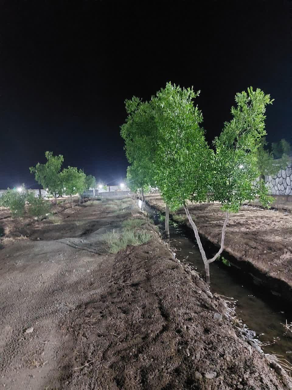 تصویر 15