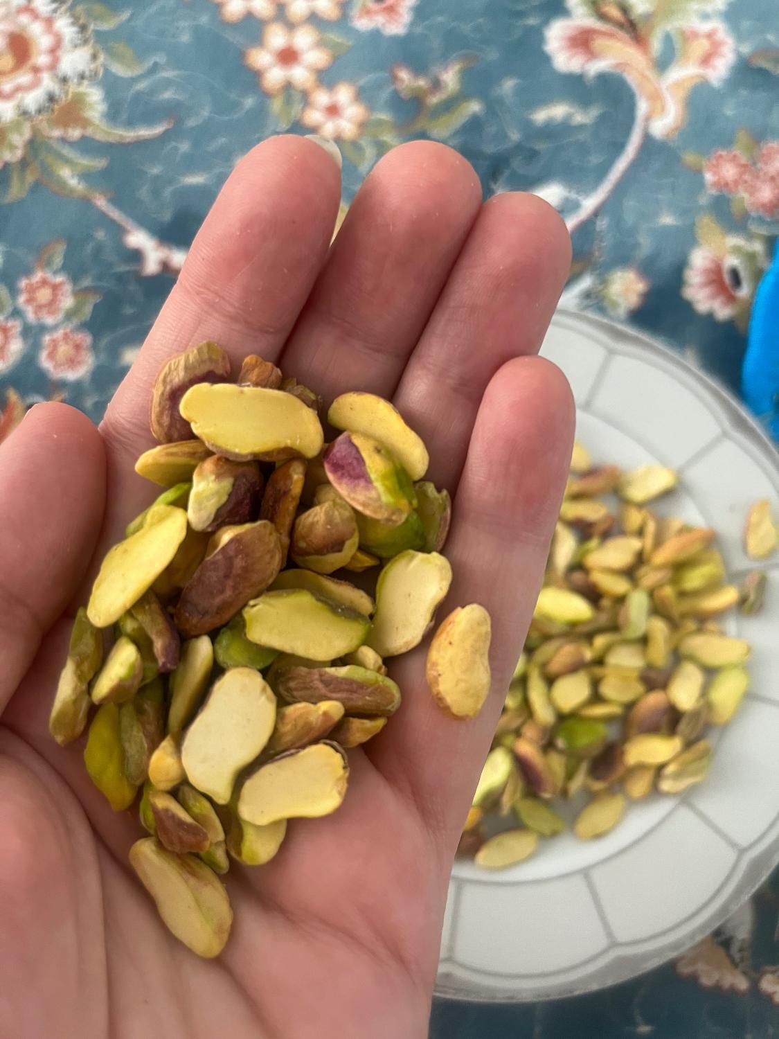 پسته ی لپه ای اکبری|خوردنی و آشامیدنی|تهران, خانی آباد نو جنوبی|دیوار