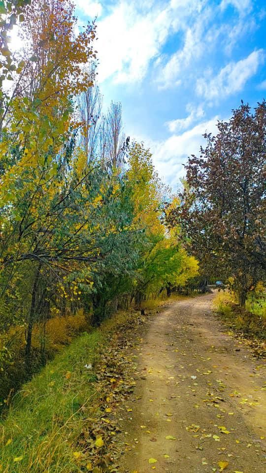 جابجایی مسافر بیرون شهری|خدمات حمل و نقل|ابهر, |دیوار