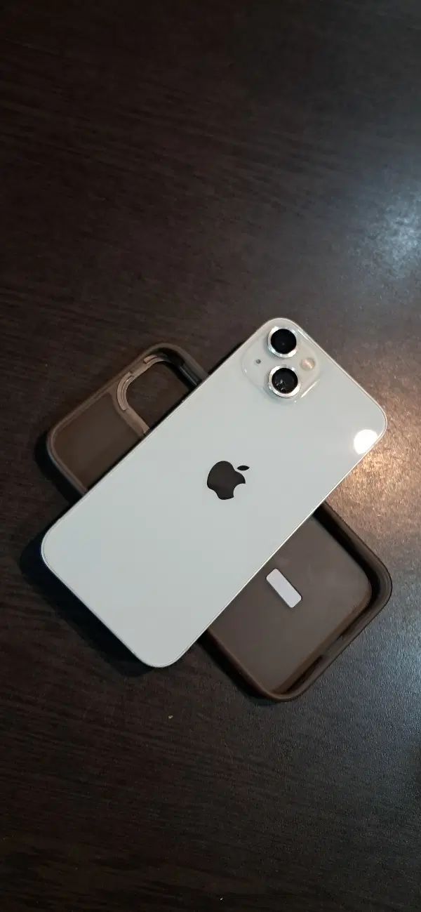 iPhone 13|موبایل|مشهد, طرق|دیوار
