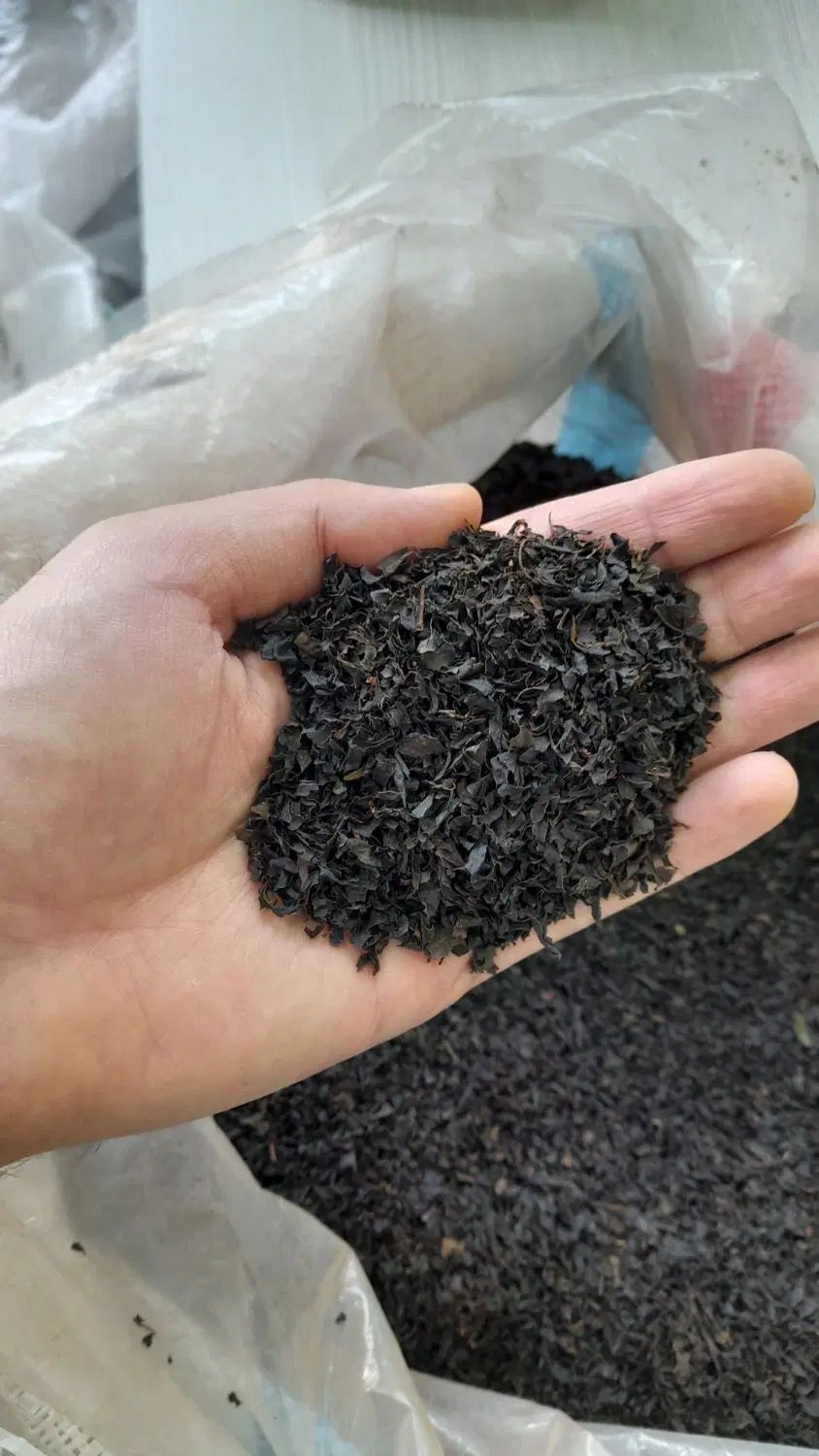 چای ممتاز مجلسی/ فقط عمده/کیلویی ۱۸۵تومان|خوردنی و آشامیدنی|رشت, یخسازی|دیوار