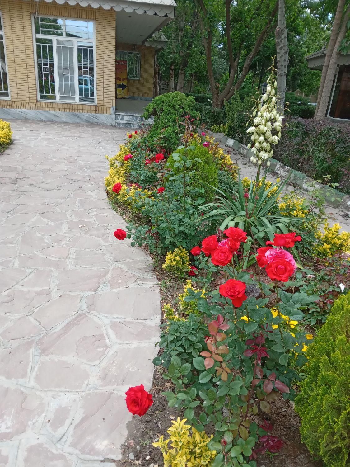 خدمات باغبانی و فضای سبز گل چمن نهال هرس و...|خدمات باغبانی و درختکاری|مشهد, توس (بلوار توس)|دیوار