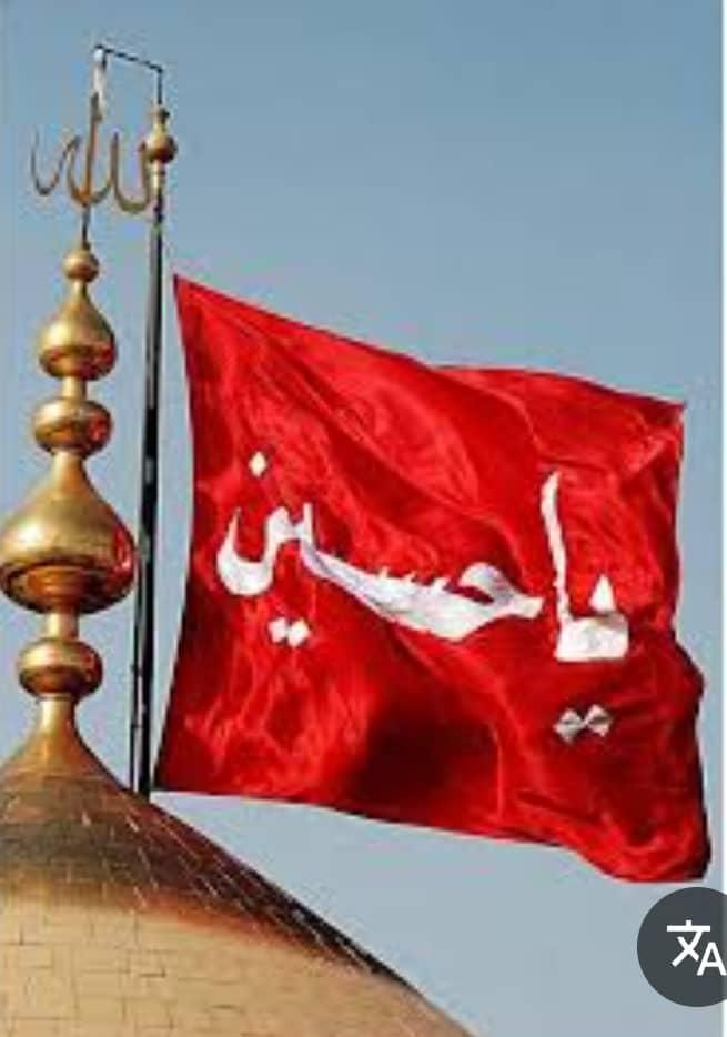 گل برای علم‌موجوداست|گل مصنوعی|شوشتر, |دیوار
