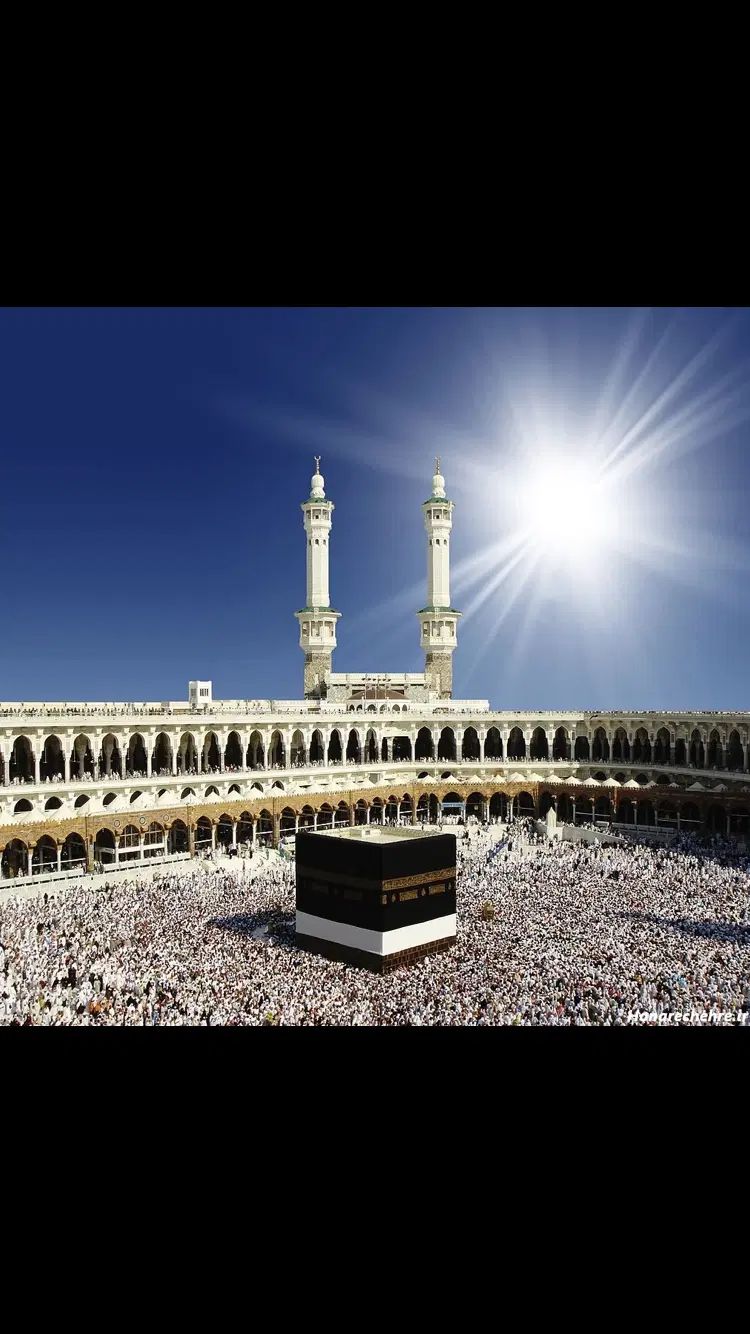 ۴ عدد فیش حج عمره آماده تشرف|تور و چارتر|تهران, نیاوران|دیوار
