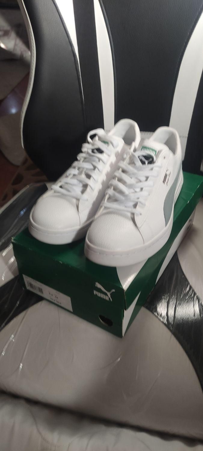 puma  44|کیف، کفش، کمربند|محمدشهر, ولدآباد|دیوار