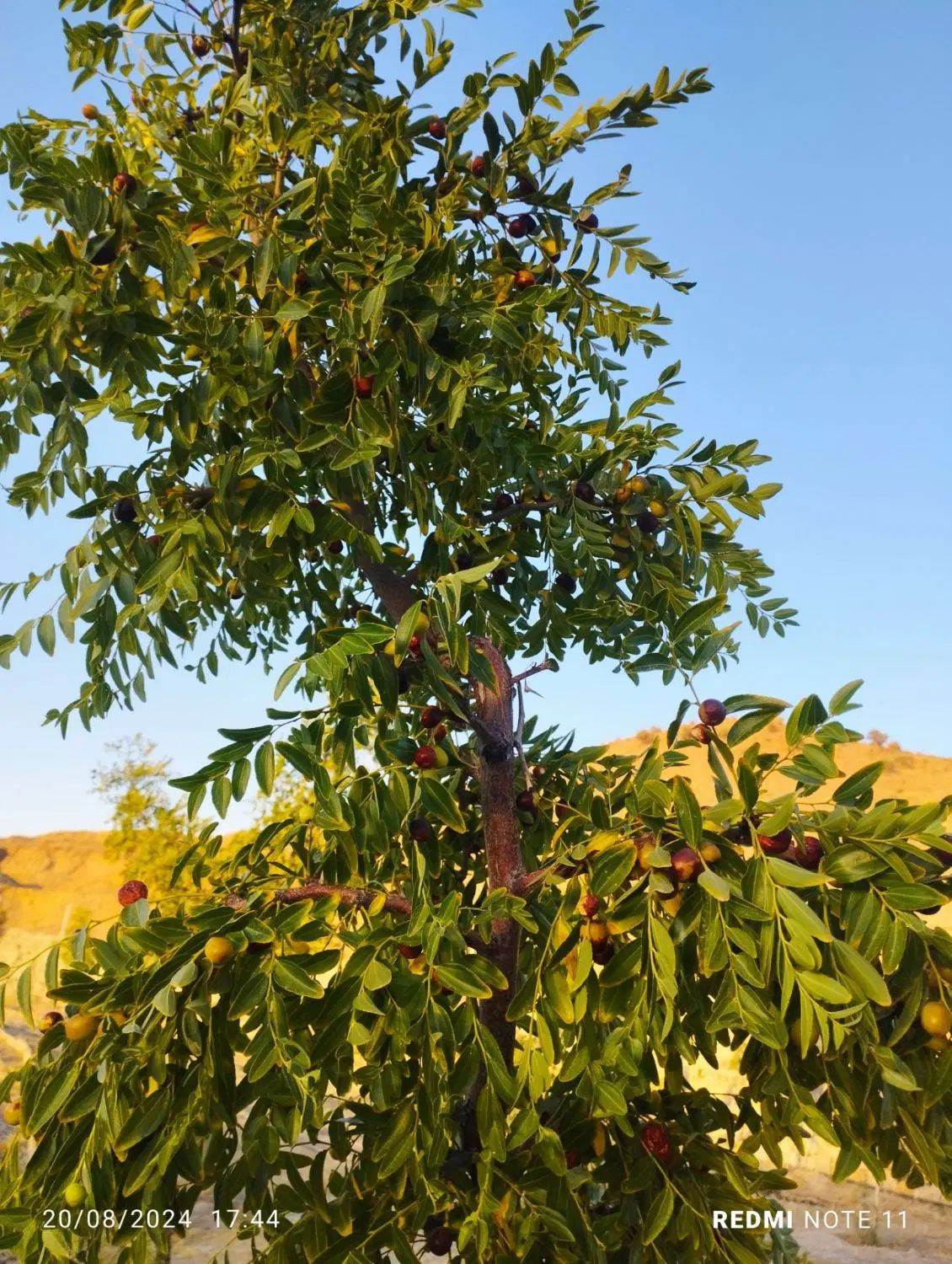 تصویر 4