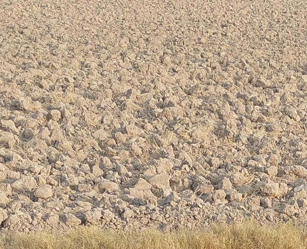 اجاره ۱۸ هکتار|اجارهٔ دفتر صنعتی، کشاورزی، تجاری|برازجان, |دیوار