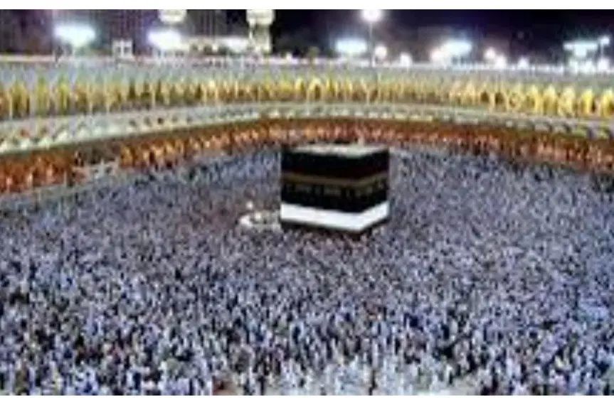 فروش فیش عمره مفرده|تور و چارتر|اصفهان, همدانیان|دیوار