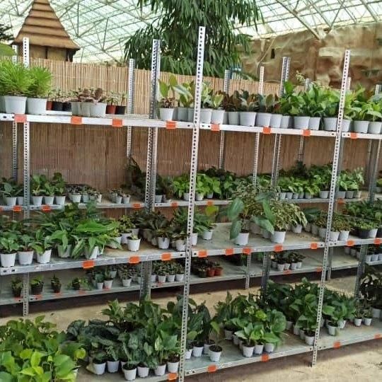 قفسه طرح قدیمی پیچ و مهره ای طوسی|فروشگاه و مغازه|آمل, |دیوار