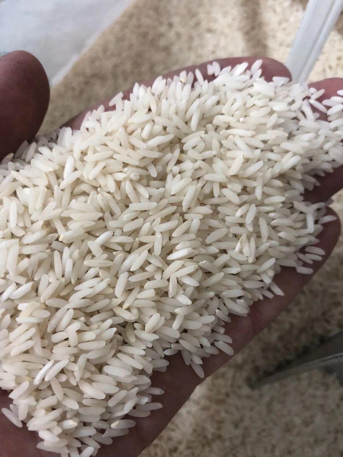 برنج طارم هاشمی امسال درجه یک|خوردنی و آشامیدنی|تهران, آجودانیه|دیوار