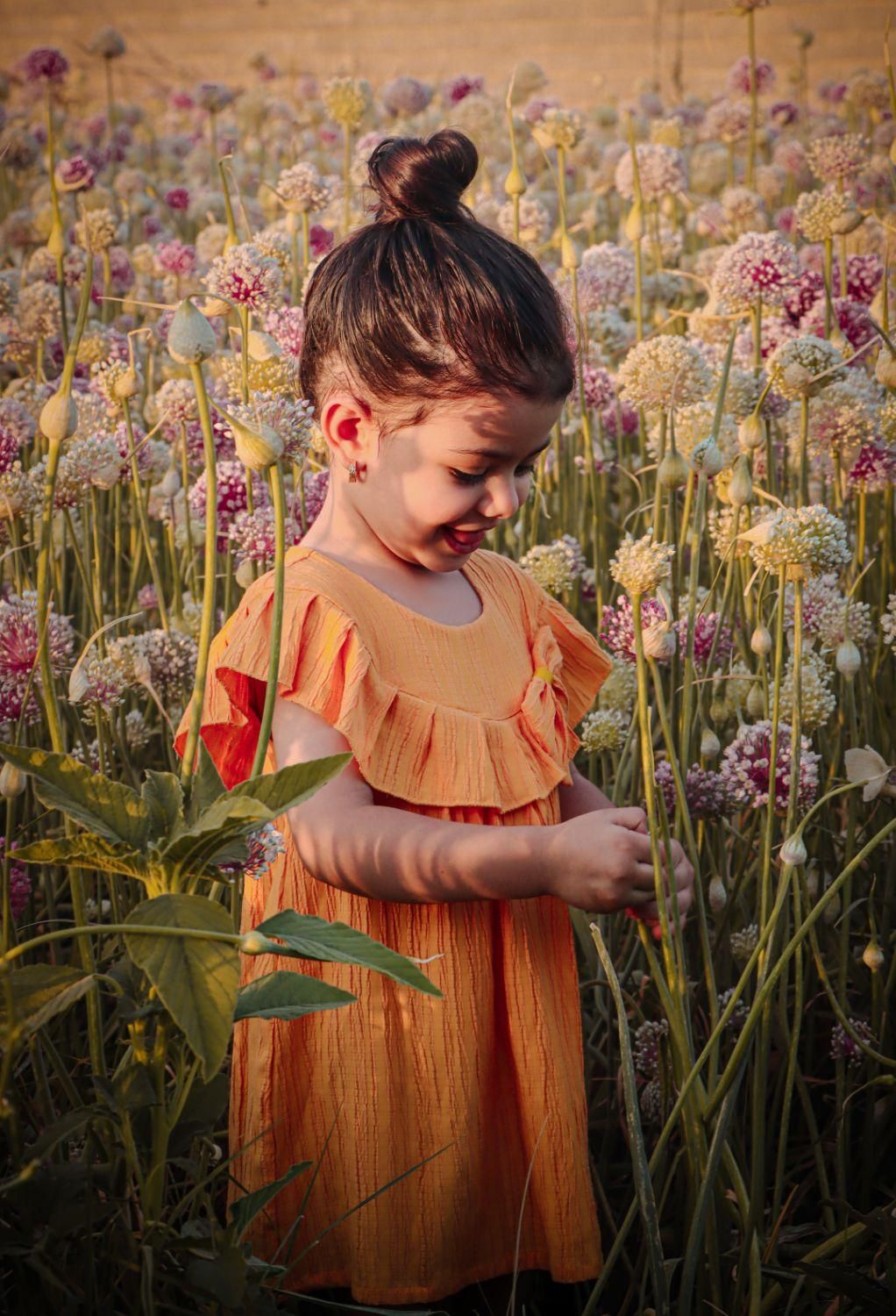 عکاسی فضای باز|خدمات پذیرایی، مراسم|اصفهان, قهجاورستان|دیوار