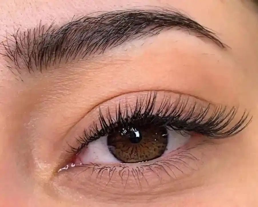 کاشت و اکستنشن و لیفت مژه (فقط بمدت یک هفته)|خدمات آرایشگری و زیبایی|نورآباد, |دیوار