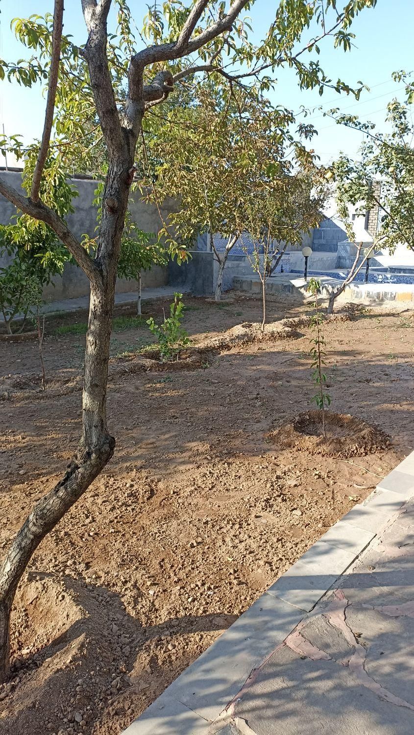 طراحی باغ و ویلا ،ساخت باغچه‌و نگهداری درختان|خدمات باغبانی و درختکاری|مشهد, جاهد شهر|دیوار