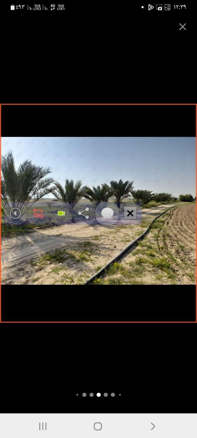 زمین کشاورزی ۸ هکتار سند ثبتی تک برگ با چاه آب|فروش دفتر صنعتی، کشاورزی، تجاری|برازجان, |دیوار