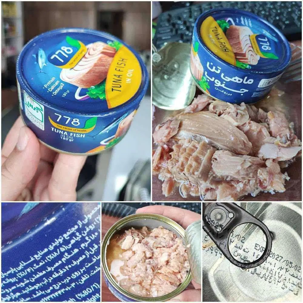 کنسرو تن ماهی شیلور خوش نگار گپسر تن ماهی جنوب|خوردنی و آشامیدنی|تهران, گمرک|دیوار