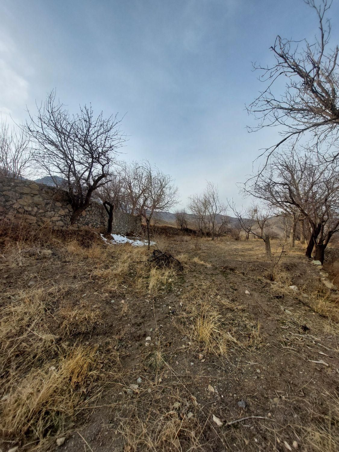 فروش باغ ۷۵۰ متری و ۱۰۰۰ متری در روستای ونان|فروش زمین و ملک کلنگی|قم, آزادگان|دیوار