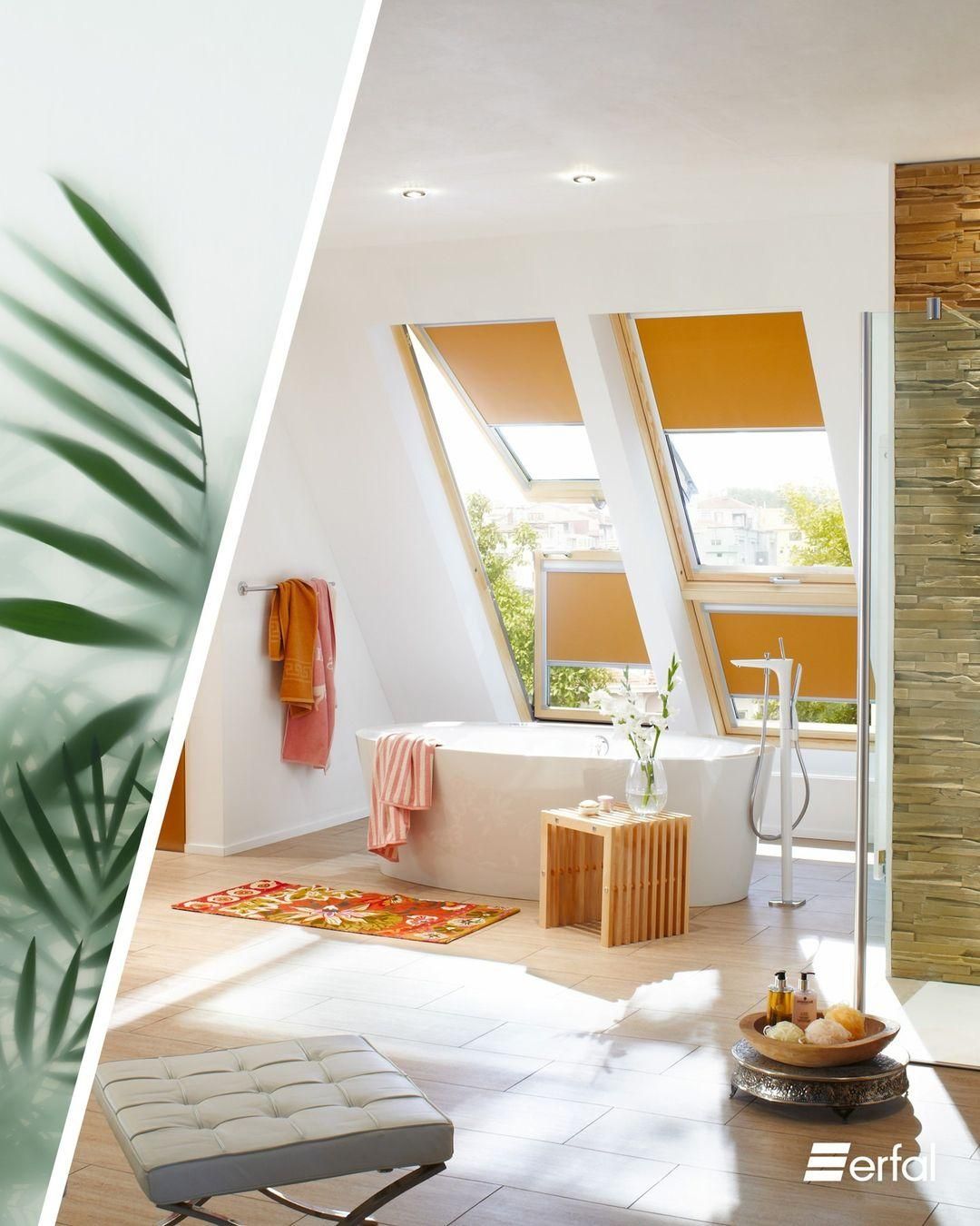 رفت و برگشت دوطرفه|عمدهفروشی|شیراز, باغ تخت|دیوار