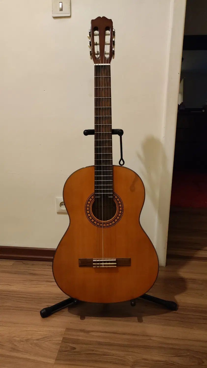گیتار کلاسیک Takamine G116|گیتار، بیس، امپلیفایر|تهران, شهرآرا|دیوار