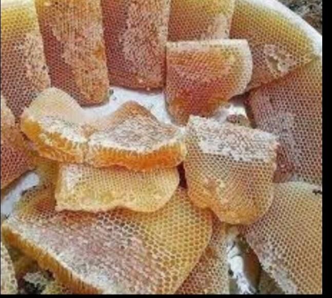 گون بهاره آویشن مرکبات...|خوردنی و آشامیدنی|سبزوار, باهنر|دیوار