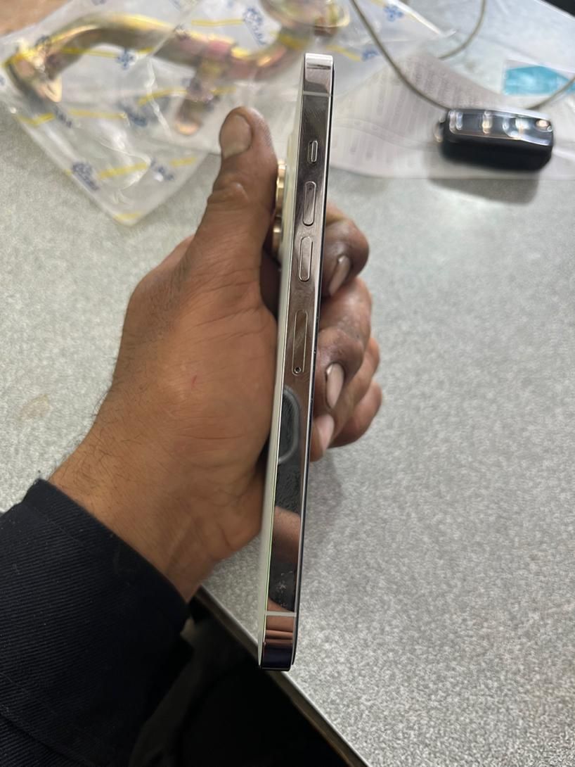 اپل iPhone 13 Pro Max با حافظهٔ ۲۵۶ گیگابایت|موبایل|گلستان (تهران), |دیوار